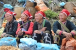 Hành Trình 3 Ngày Khám Phá Bắc Hà